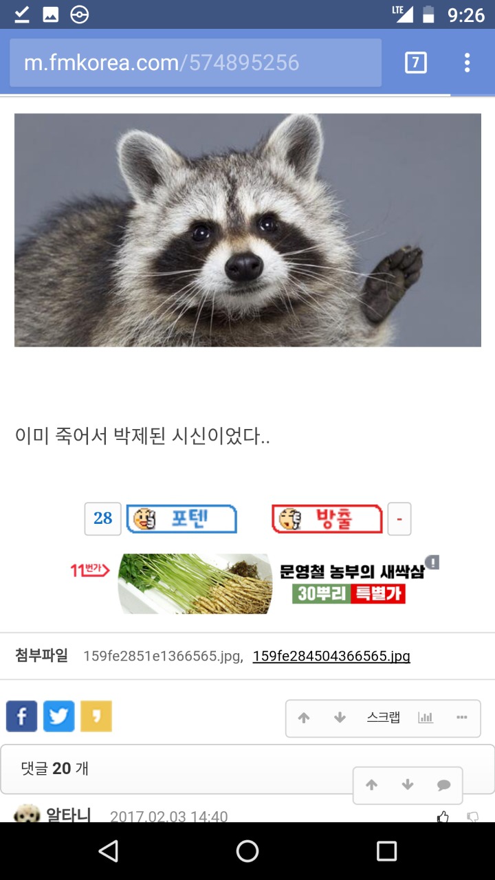 너굴맨의 진실 | 인스티즈