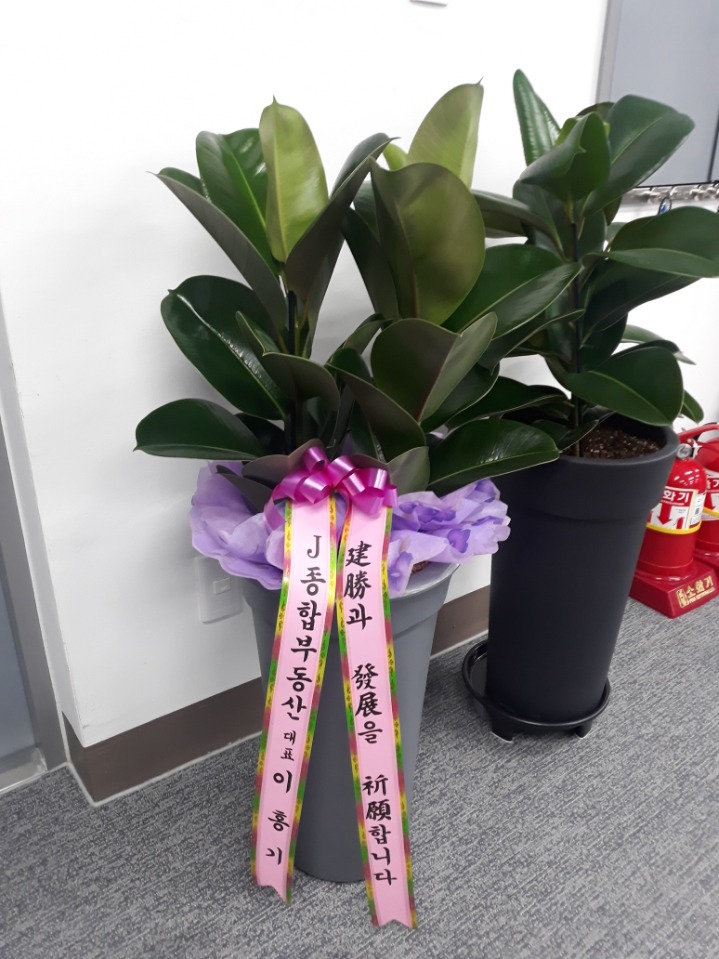 금강엘이디제작소 이미지