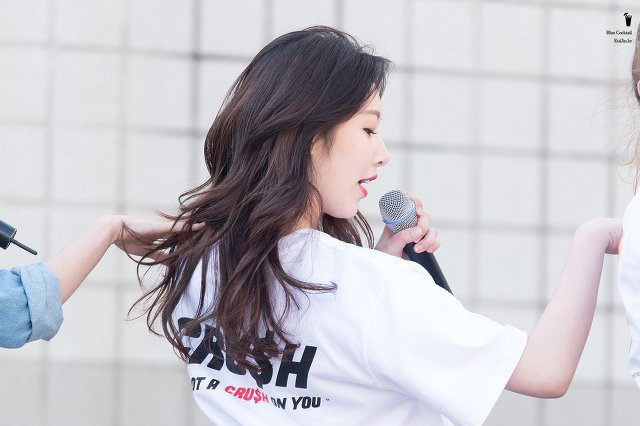 소나무 의진.jpg | 인스티즈