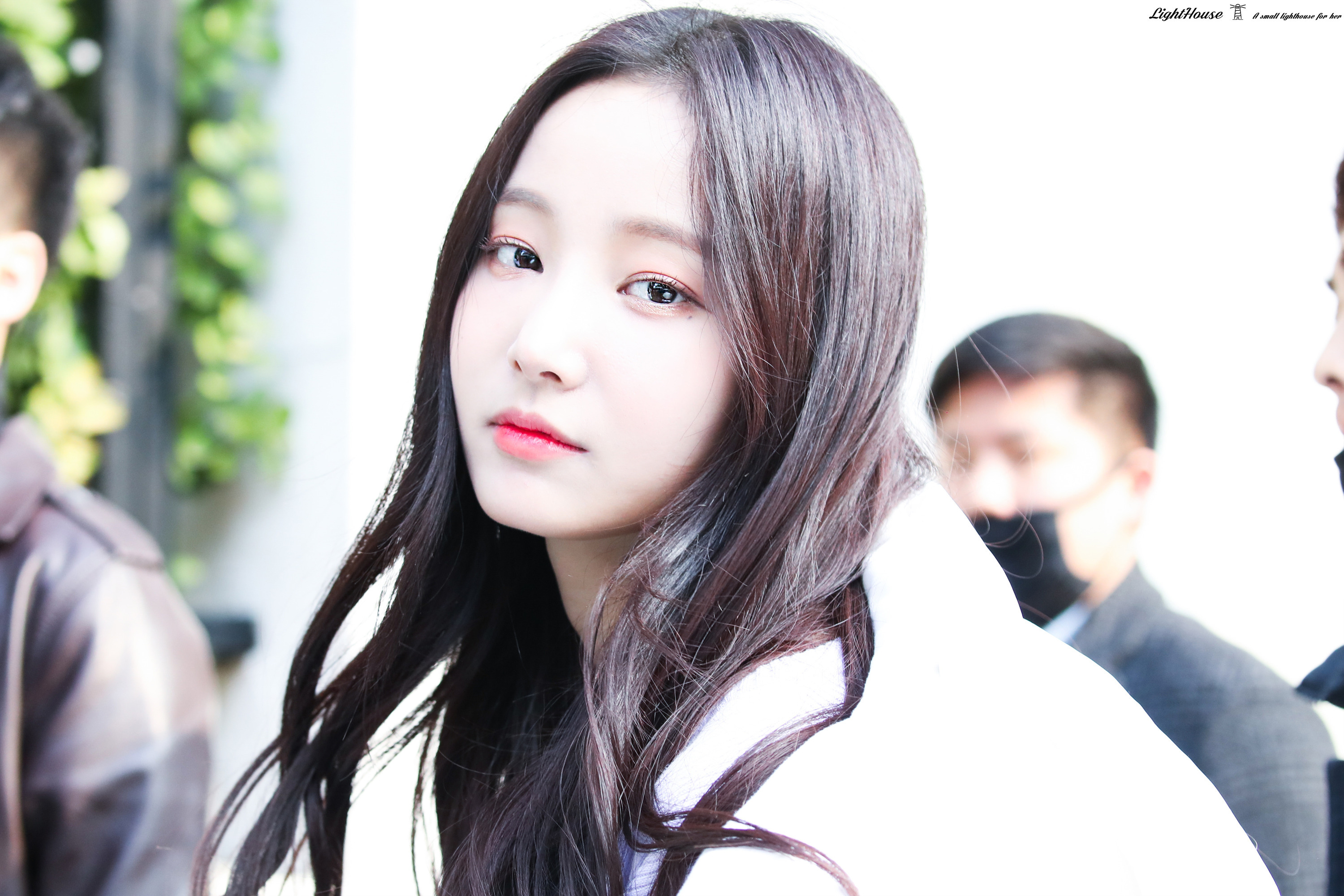 다빈 이미지
