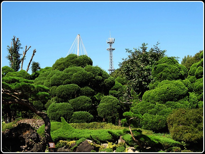 베어트리파크수목원 이미지