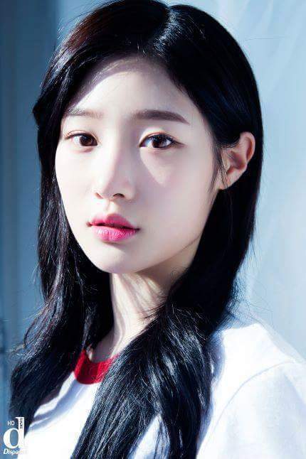 2019년 첫 아이오아이 | 인스티즈