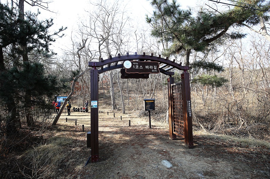 바다바라길 이미지