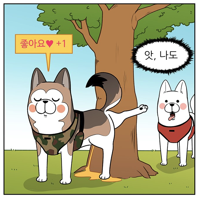 개들이 나무에 영역표시를 하는 이유.JPG | 인스티즈