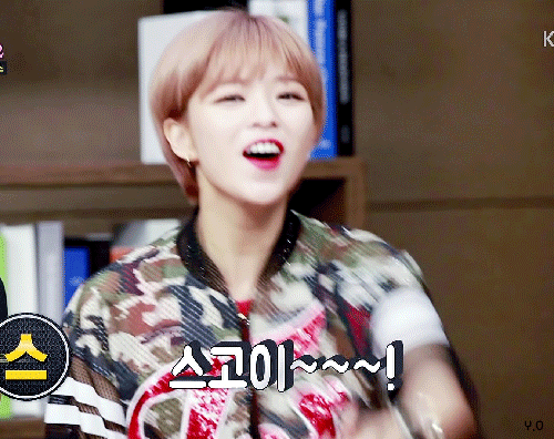 트와이스 멤버&정연 짤 | 인스티즈