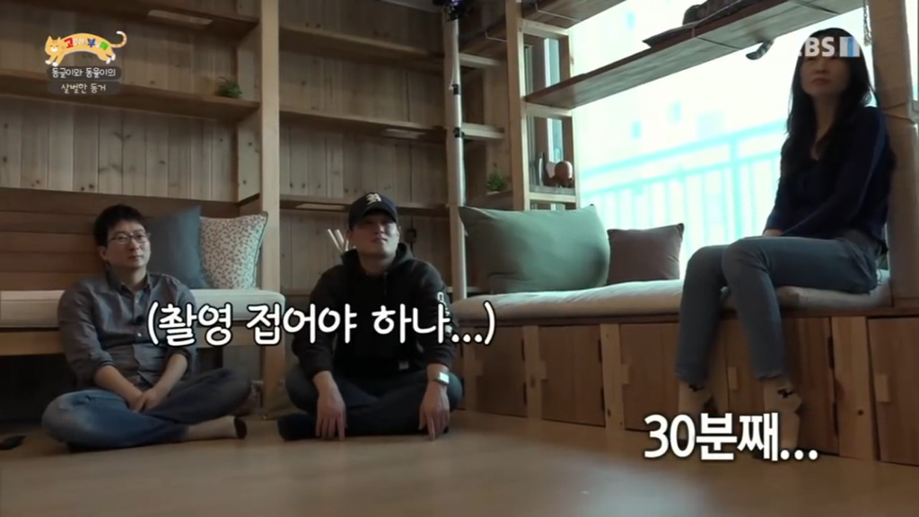 세상에 나쁜 개는 없다 vs 고양이를 부탁해 차이.jpg | 인스티즈