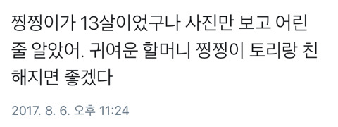 찡찡이가 열세살 할머니라는 것을 알게된 사람들 | 인스티즈