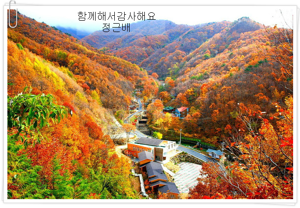 늘처음처럼 이미지