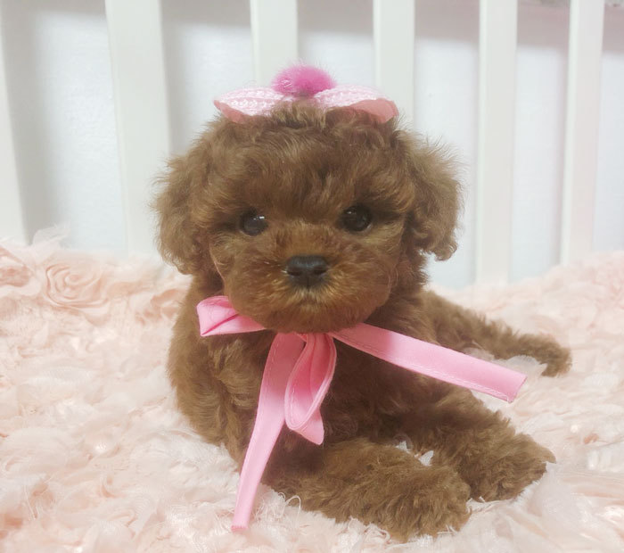 안녕하세요 이미지