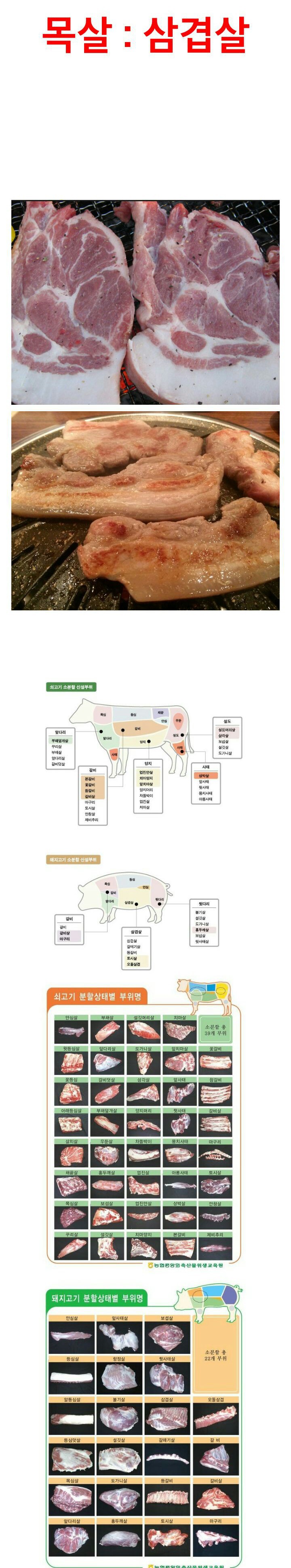 평생 돼지고기 한 부위만 먹어야 한다면 여러분 선택은? | 인스티즈