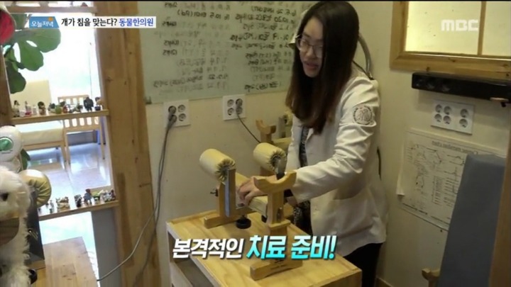 강아지 한의원.jpg | 인스티즈
