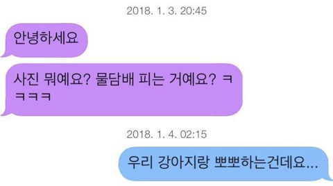 이 사진 강아지 피는 거예요?? | 인스티즈