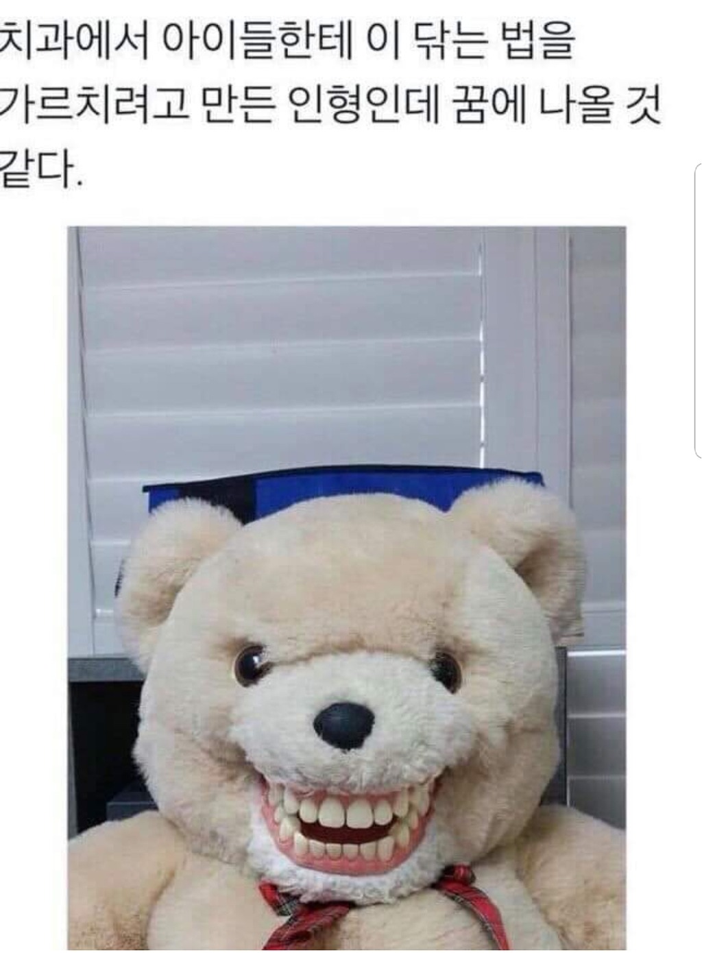 치과에서 만든 교육용인형 | 인스티즈