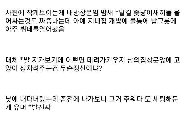 길고양이 밥주는 사람들한테 친.jpg | 인스티즈