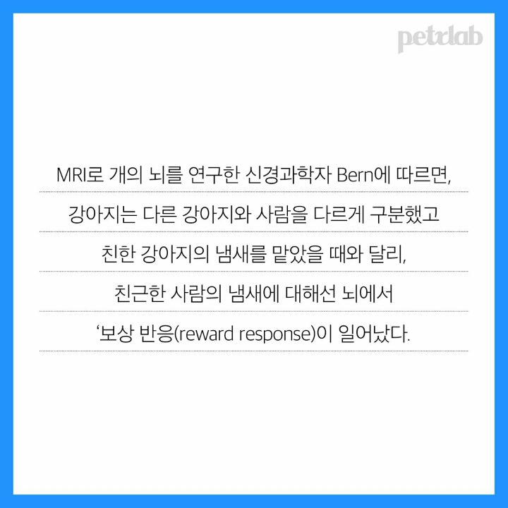  강아지는 왜 이렇게 나를 반길까?.jpgif | 인스티즈