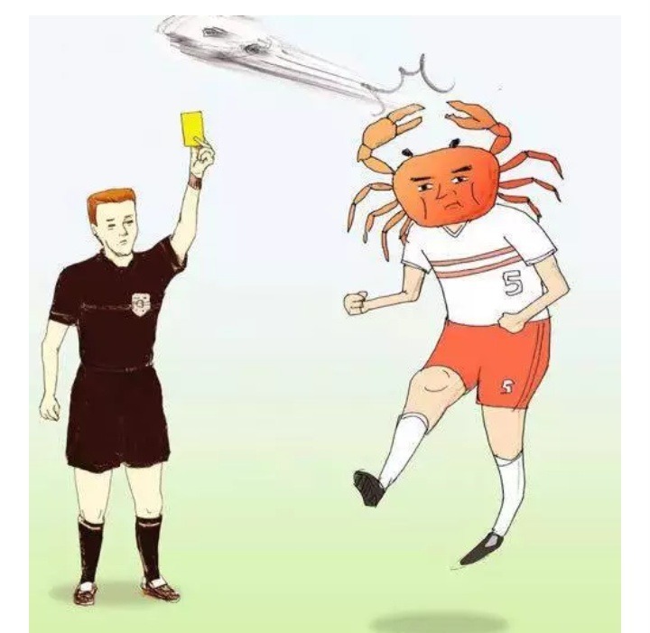 사람이면 불편한 동물.jpg | 인스티즈