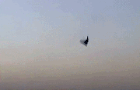 드리프트 고인물 사막토끼.gif | 인스티즈