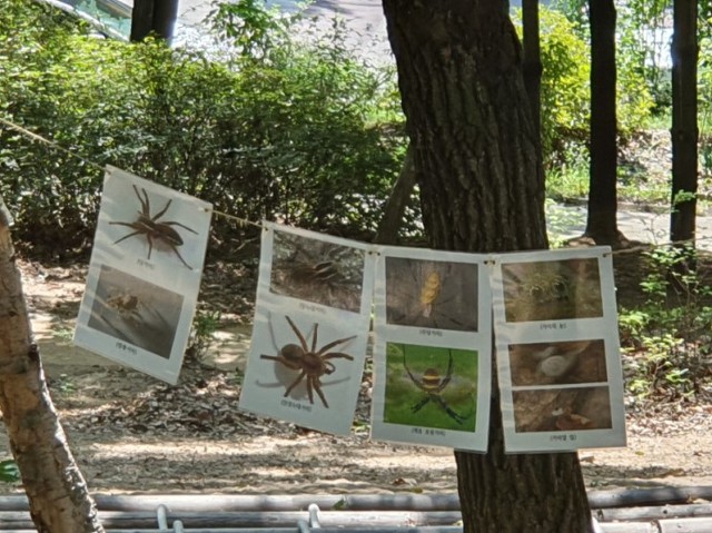 오목문화 유아숲체험원 이미지