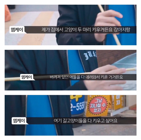 망원동 고양이 밥을 책임지고 있는 아이돌 | 인스티즈
