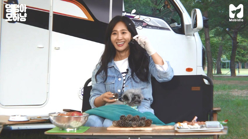 994BEE335F08883B2C0B43