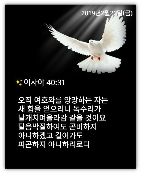 면대장 이미지