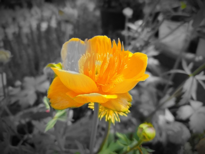 994EA04A5CCFCBBC0B1505