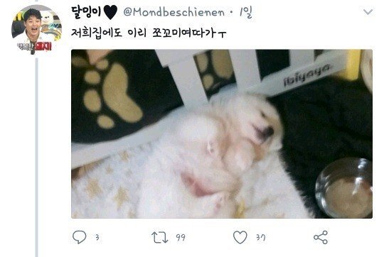 댕댕이 벌크업 레전드.jpg | 인스티즈