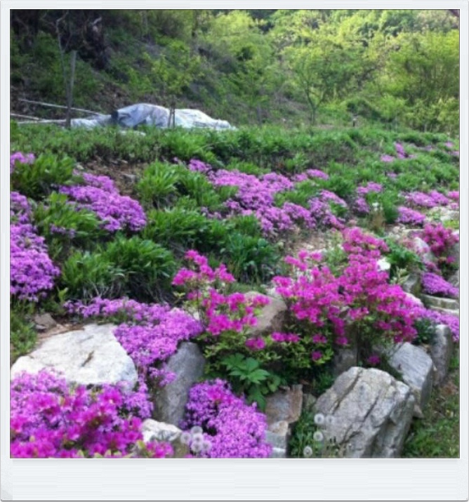 금산IC 이미지