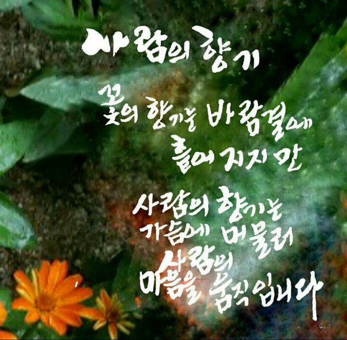 오소 이미지