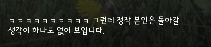 다리 다친 아기사슴을 구해주면 생기는 일.gif (데이터30MB) | 인스티즈