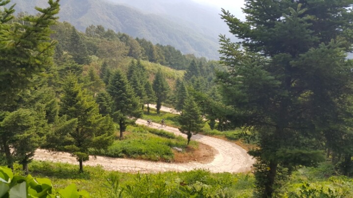 상봉MTB 이미지