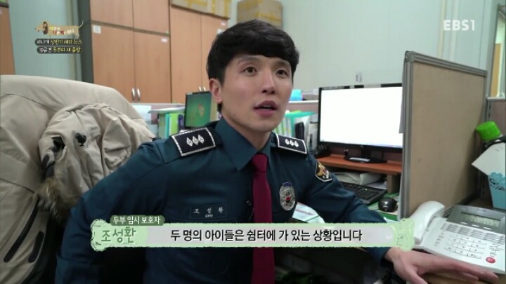 [세나개] 시도때도 없이 마운팅하고 똥을 먹는 두부의 문제 행동 고치기 -1.jpg | 인스티즈