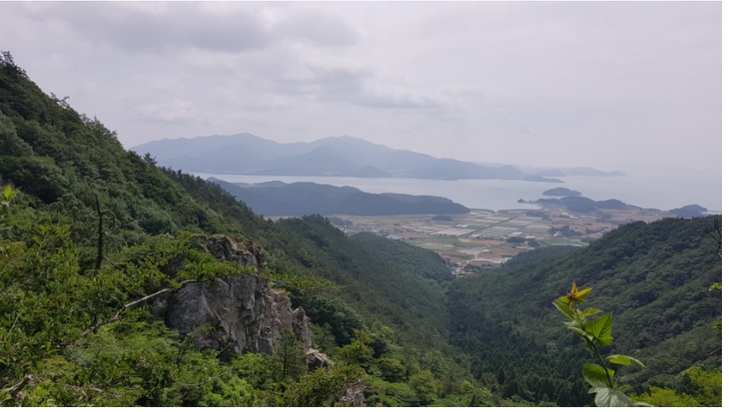 숲길 전경 이미지