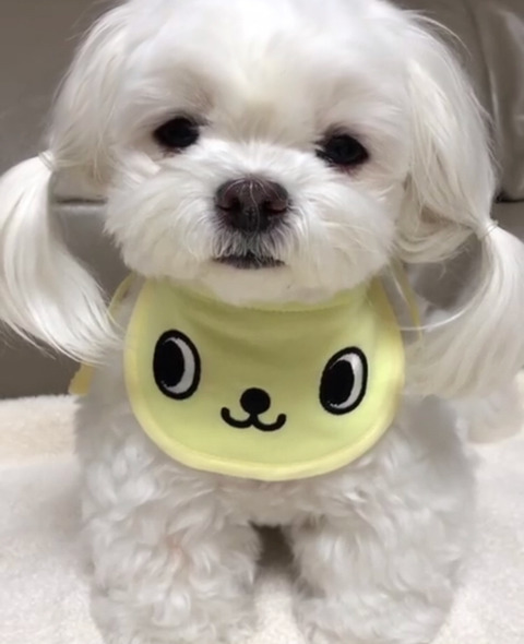먹자 이미지