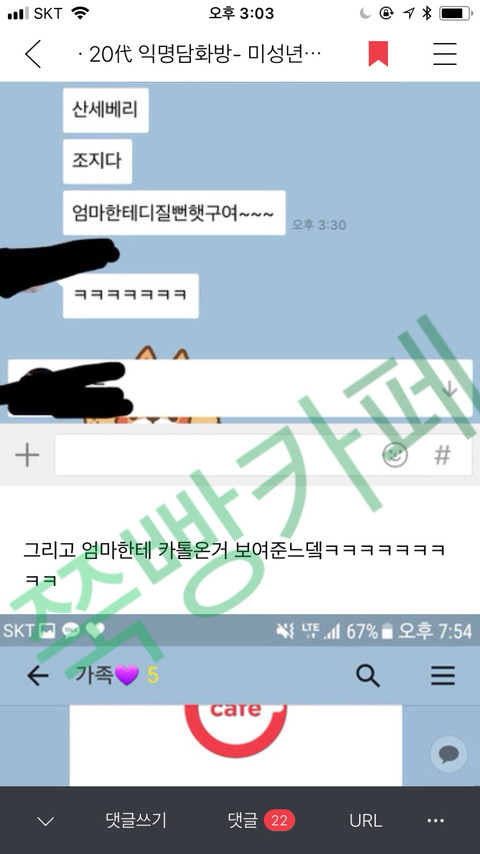 [익웃] 댕댕이가 어머님이 키우시는 산세베리아 뜯어먹음 | 인스티즈