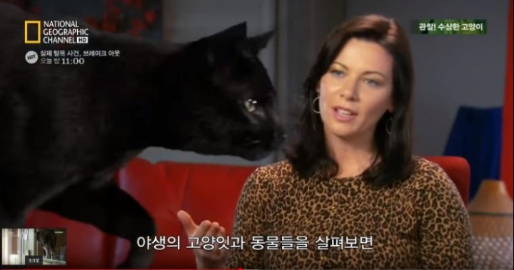 고양이가 사람과 살게 된 이유.jpg | 인스티즈