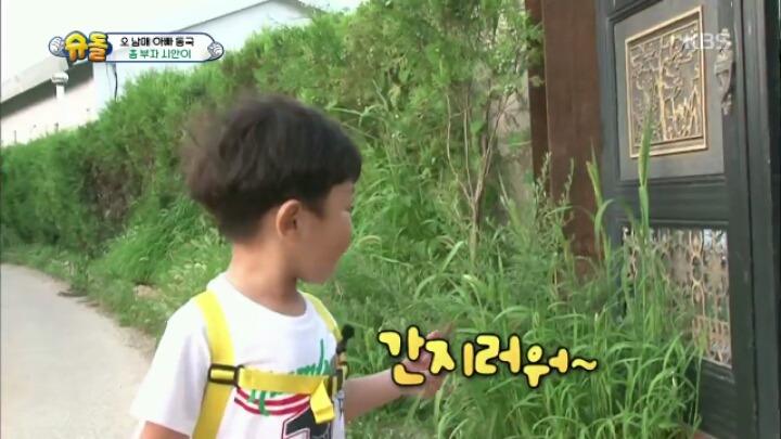 정말 타고난 것 같은 천사시안이 모음 | 인스티즈