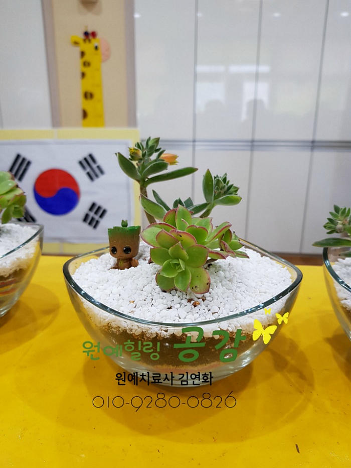 원예공감 이미지