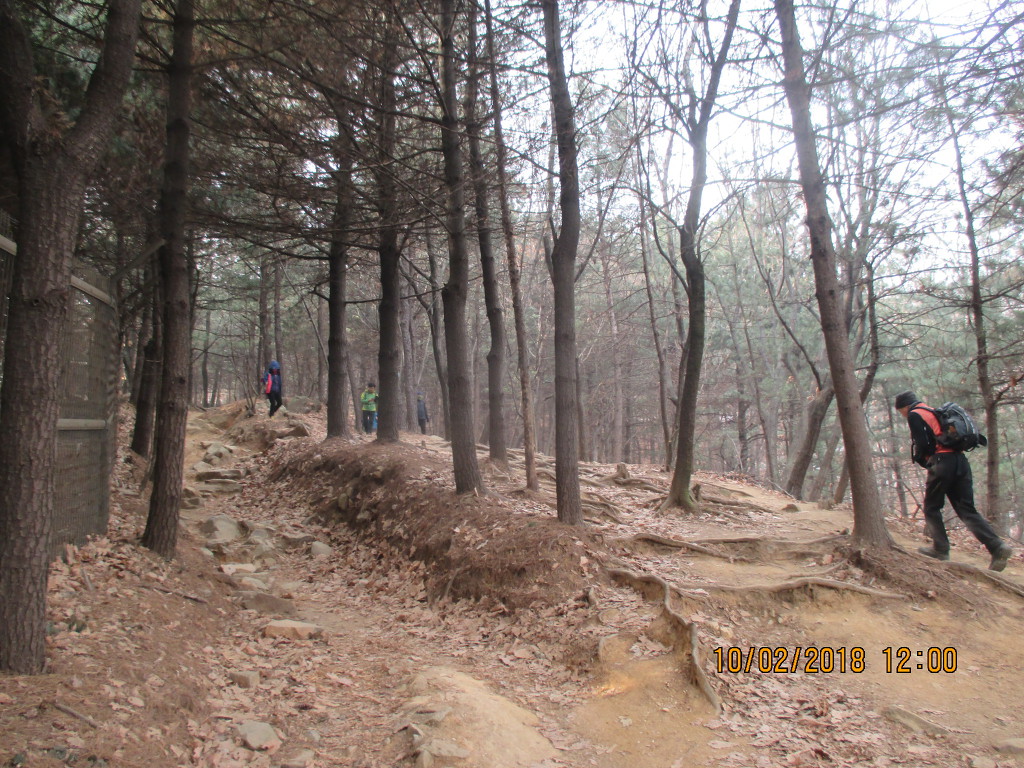 구룡산 정상 이미지