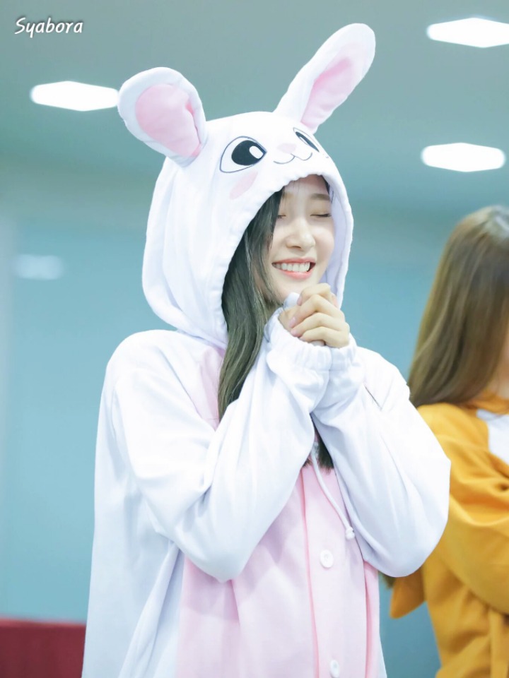 정채연 보고 가세요 | 인스티즈