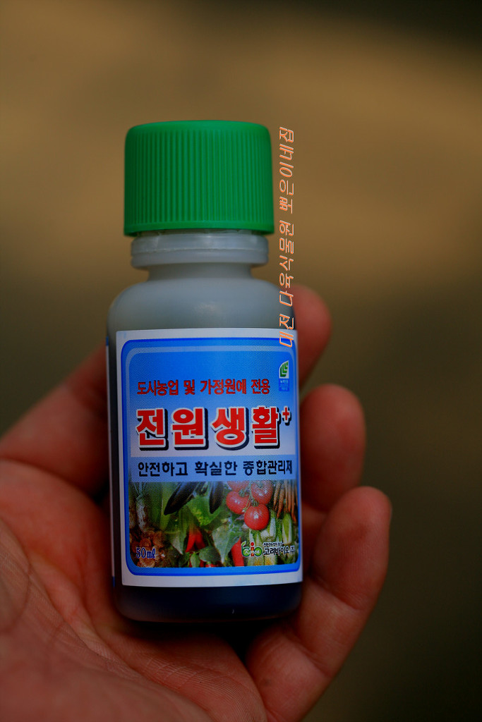 전원다육 이미지