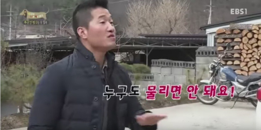 남친이 우리집 강아지 때렸어 | 인스티즈