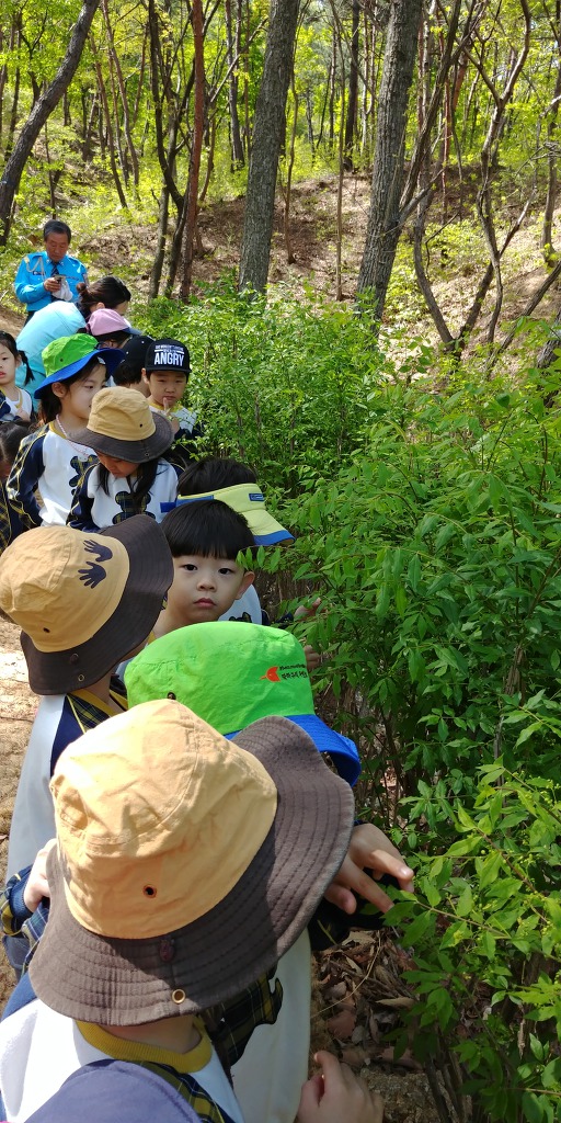 운제산 유아숲체험원 이미지