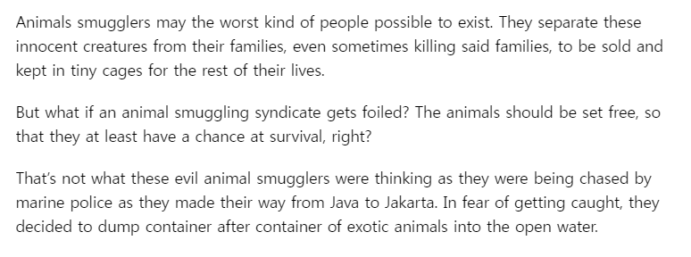 인도네시아에서 동물들을 바다에 던지는 밀수업자 | 인스티즈