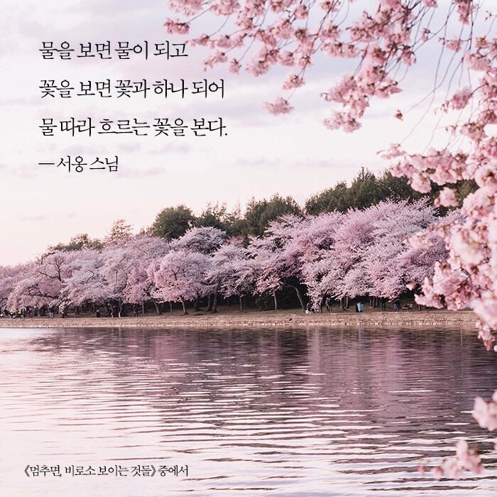 천리마 이미지