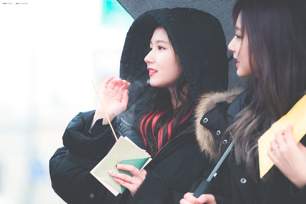 트와이스의 큐티갓 사나.jpg | 인스티즈