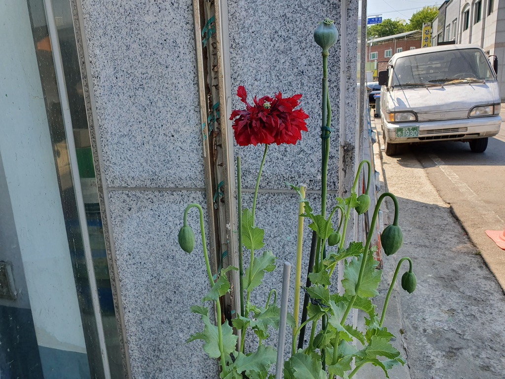 고려페인트사 이미지