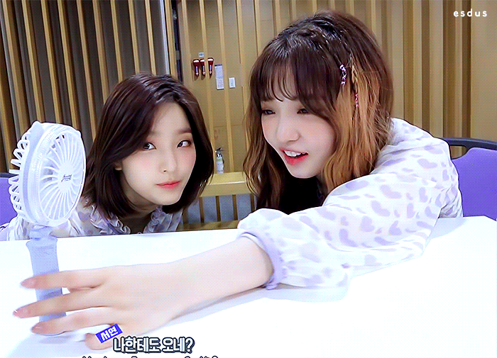 더위 많이 탄다는 노지선.gif | 인스티즈