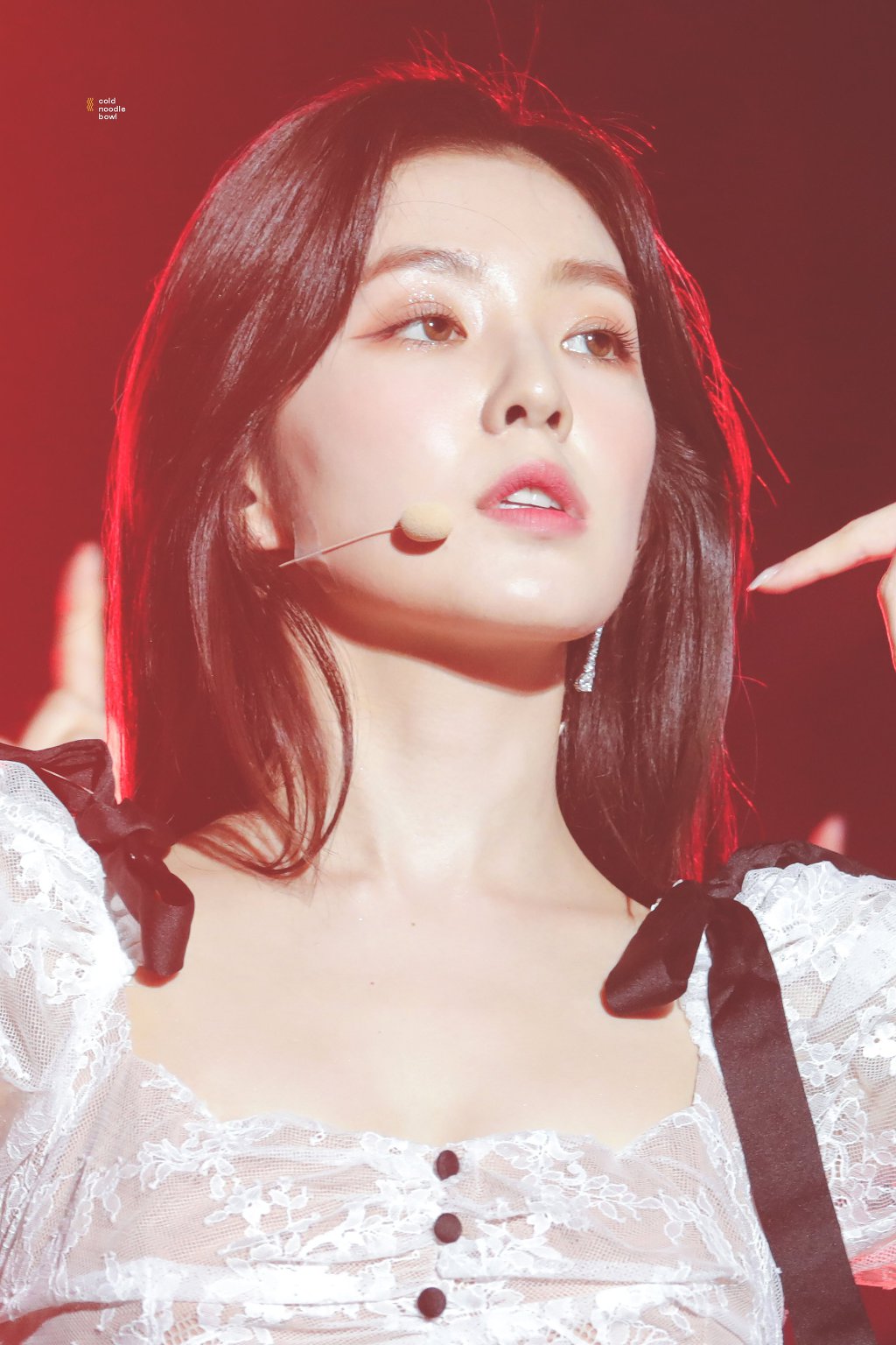 2019 AAA 레드벨벳 아이린(+출입국사진).jpgif | 인스티즈