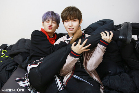 블리 이미지